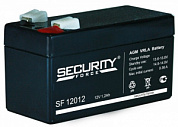 Аккумулятор Security Force SF12012