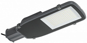 Светильник светодиодный консольный ДКУ 1002-100Д 5